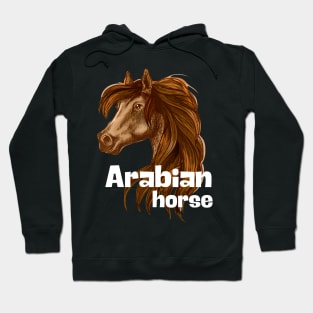 Arabian horse Hoodie